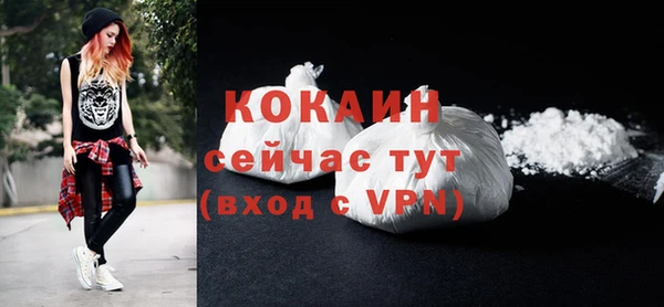 гидра Краснослободск