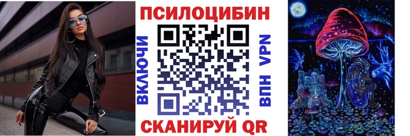 mega ONION где найти наркотики Киренск Псилоцибиновые грибы Psilocybe